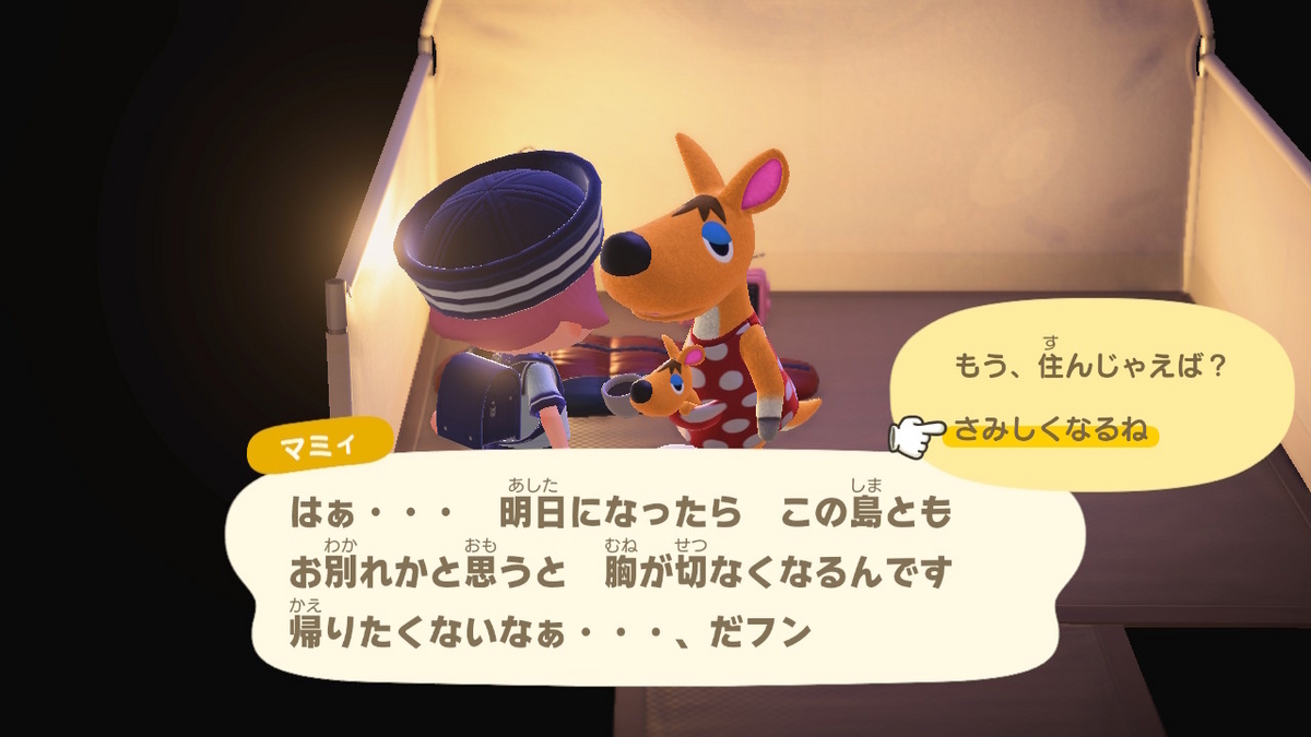 ニンテンドースイッチ あつまれどうぶつの森 キャンプ場 53回目の画像
