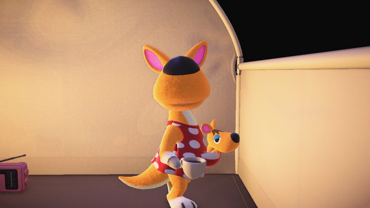 ニンテンドースイッチ あつまれどうぶつの森 キャンプ場 53回目の画像