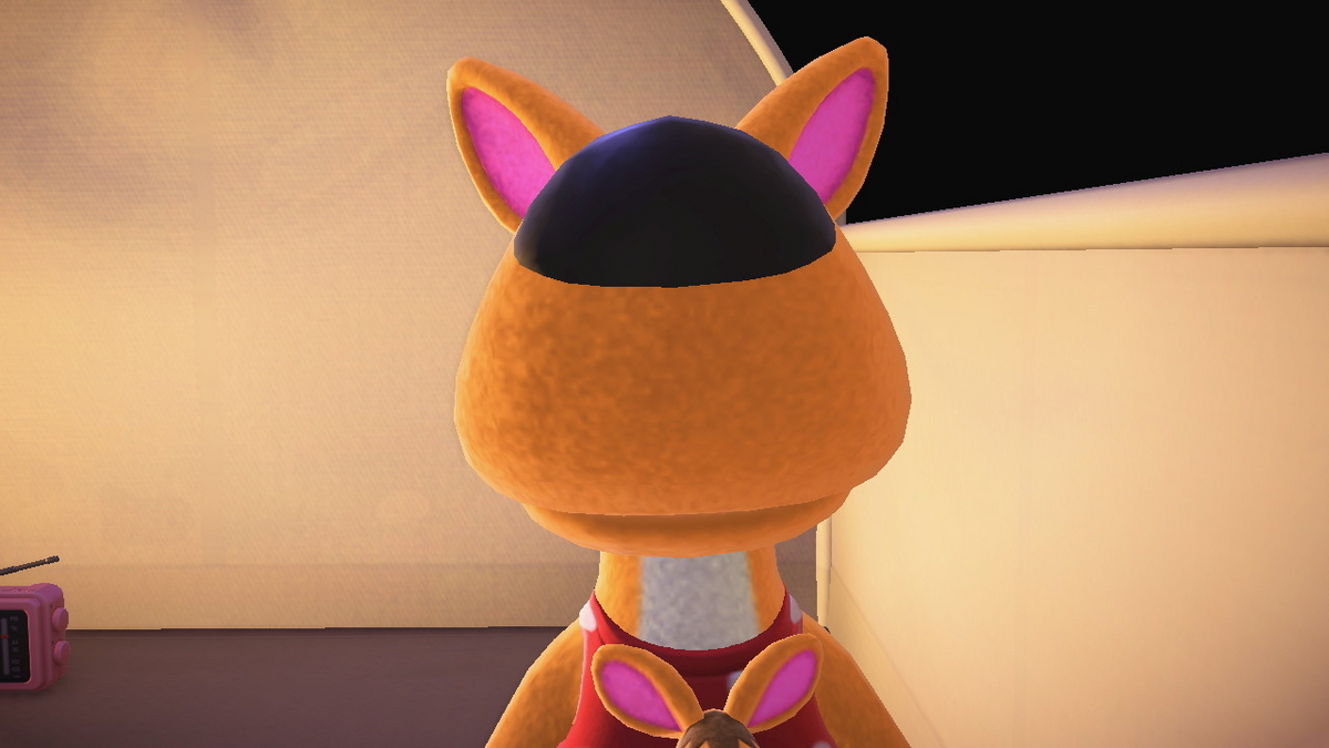 ニンテンドースイッチ あつまれどうぶつの森 キャンプ場 53回目の画像