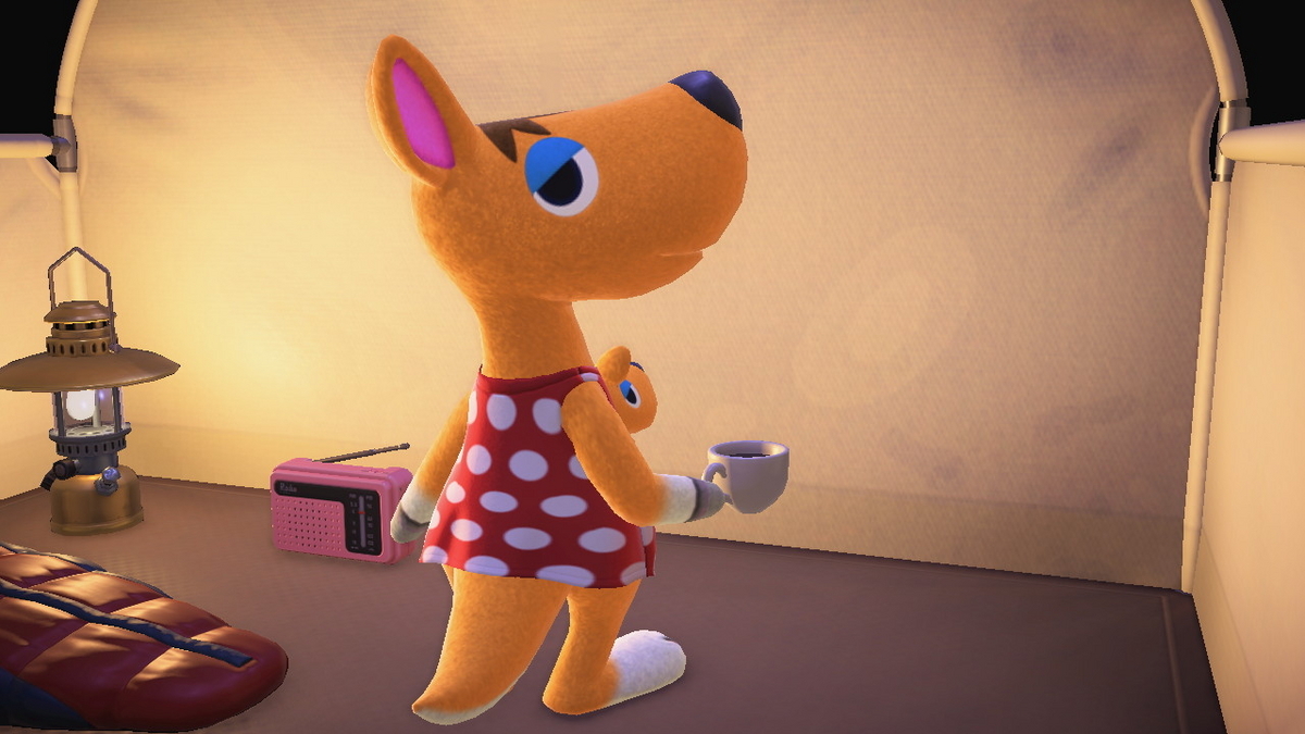ニンテンドースイッチ あつまれどうぶつの森 キャンプ場 53回目の画像