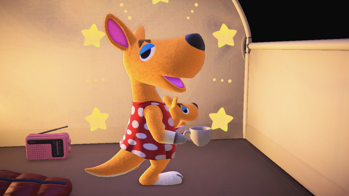 ニンテンドースイッチ あつまれどうぶつの森 キャンプ場 53回目の画像