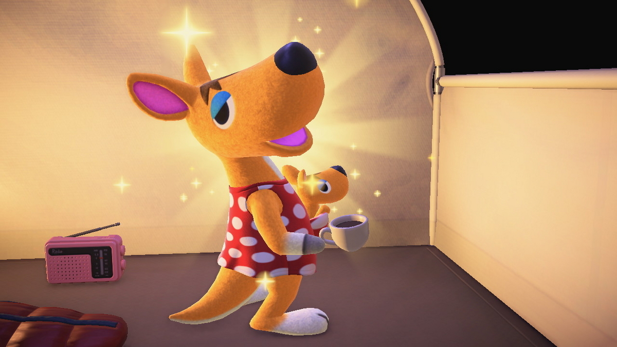 ニンテンドースイッチ あつまれどうぶつの森 キャンプ場 53回目の画像