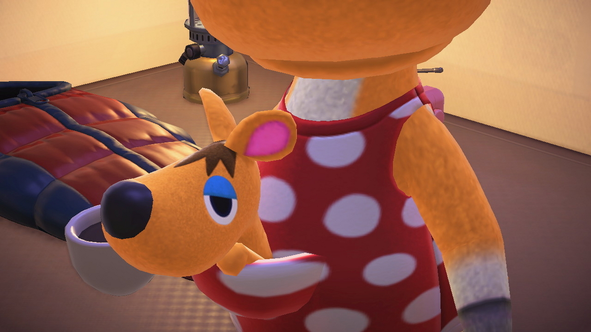 ニンテンドースイッチ あつまれどうぶつの森 キャンプ場 53回目の画像