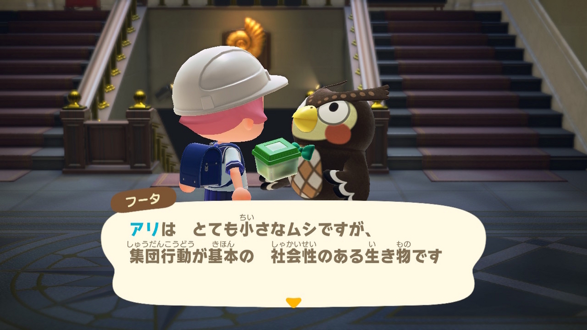 あつまれ どうぶつの森 ver.2.0.6 アリを捕まえていなかったです‥(;´∀｀)の画像