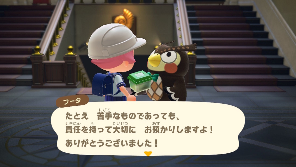 あつまれ どうぶつの森 ver.2.0.6 アリを捕まえていなかったです‥(;´∀｀)の画像