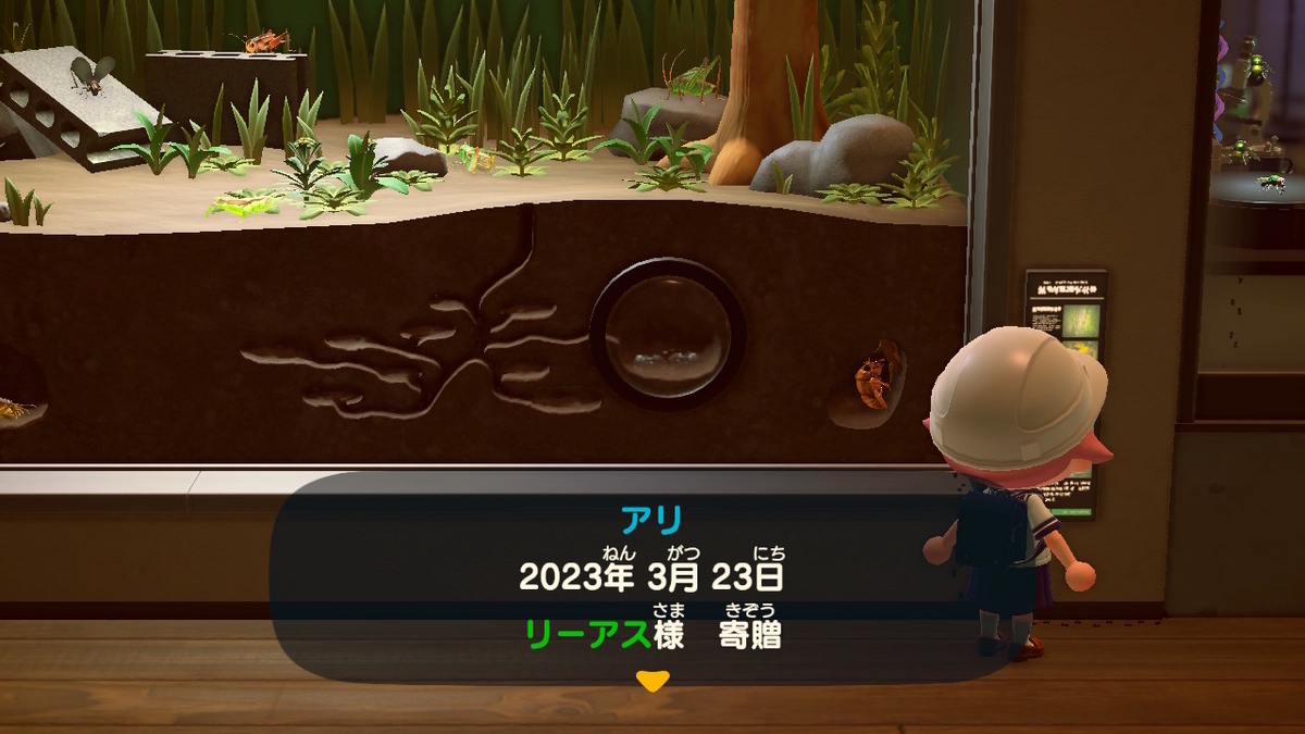 あつまれ どうぶつの森 ver.2.0.6 アリを捕まえていなかったです‥(;´∀｀)の画像