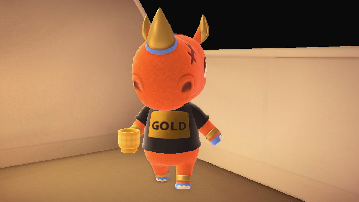 ニンテンドースイッチ あつまれどうぶつの森 キャンプ場 54回目の画像