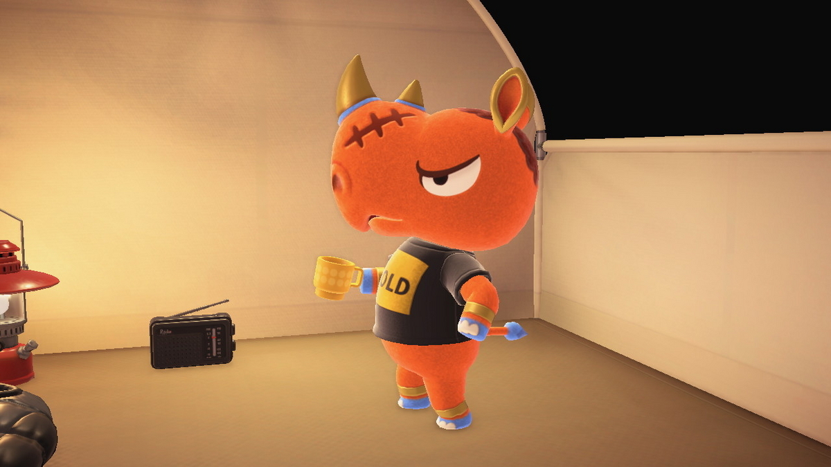 ニンテンドースイッチ あつまれどうぶつの森 キャンプ場 54回目の画像