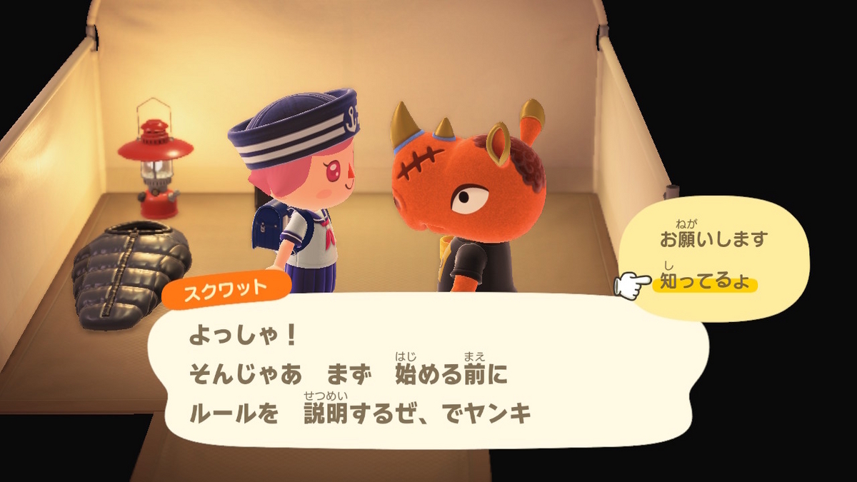 ニンテンドースイッチ あつまれどうぶつの森 キャンプ場 54回目の画像