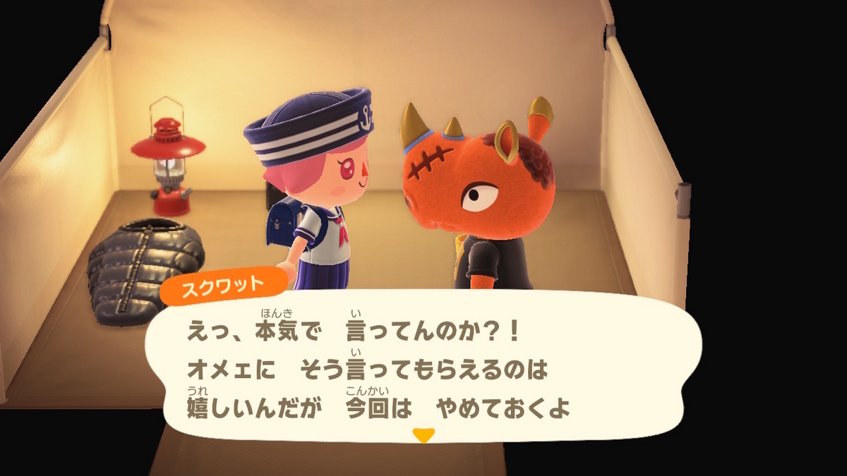 ニンテンドースイッチ あつまれどうぶつの森 キャンプ場 54回目の画像