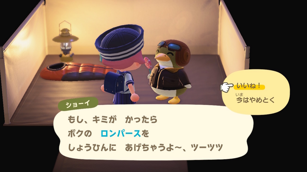 ニンテンドースイッチ あつまれどうぶつの森 キャンプ場 55回目の画像