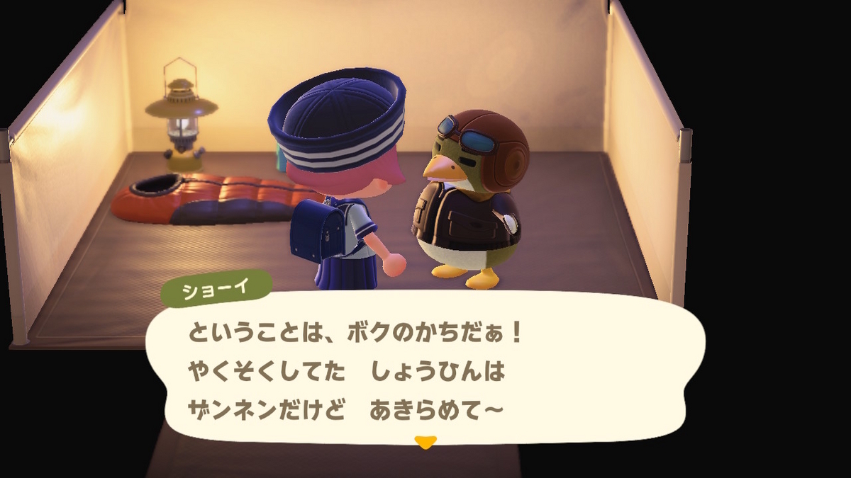 ニンテンドースイッチ あつまれどうぶつの森 キャンプ場 55回目の画像