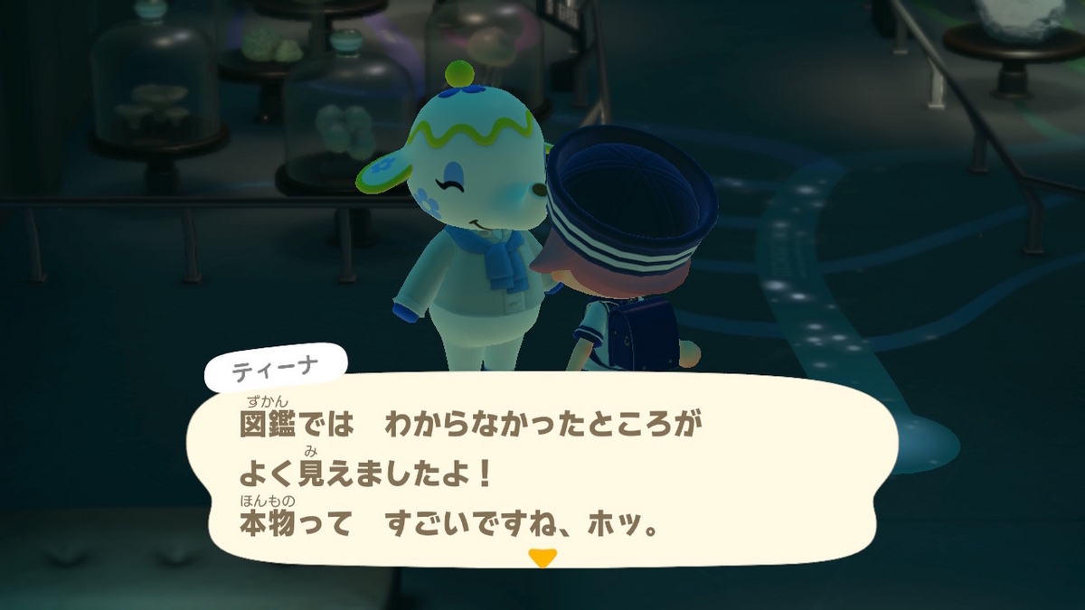 あつまれ どうぶつの森 ver.2.0.6 博物館のスタンプラリー恐竜編の画像