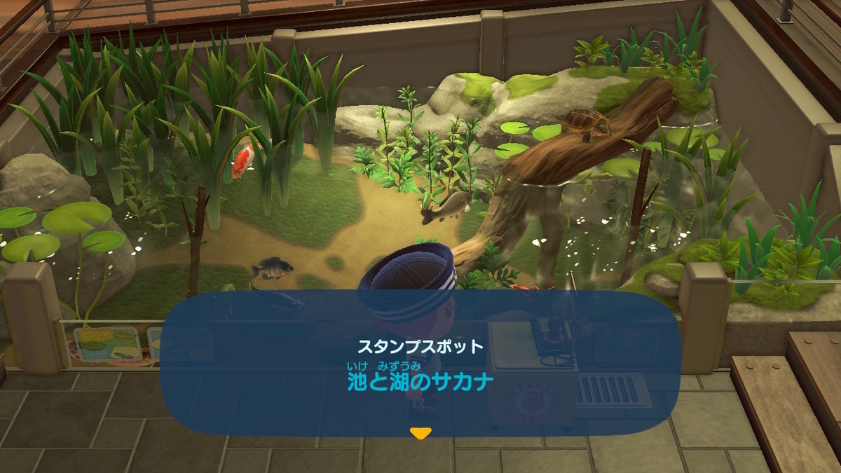 あつまれ どうぶつの森 ver.2.0.6 博物館のスタンプラリー魚編の画像