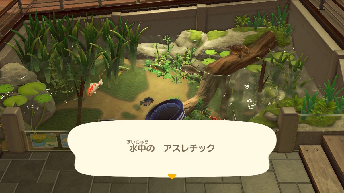 あつまれ どうぶつの森 ver.2.0.6 博物館のスタンプラリー魚編の画像
