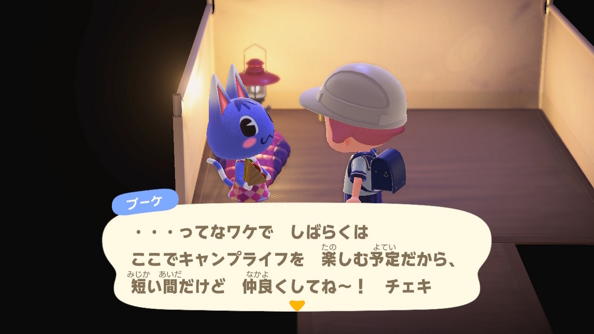 ニンテンドースイッチ あつまれどうぶつの森 キャンプ場 57回目の画像