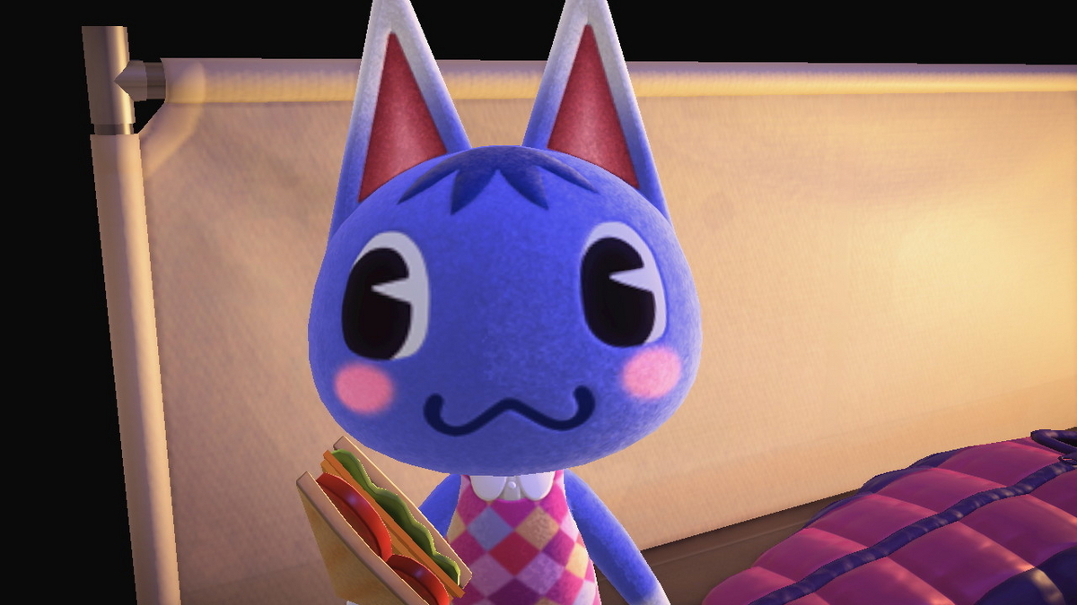 ニンテンドースイッチ あつまれどうぶつの森 キャンプ場 57回目の画像