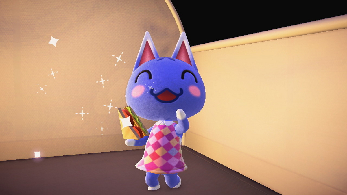 ニンテンドースイッチ あつまれどうぶつの森 キャンプ場 57回目の画像