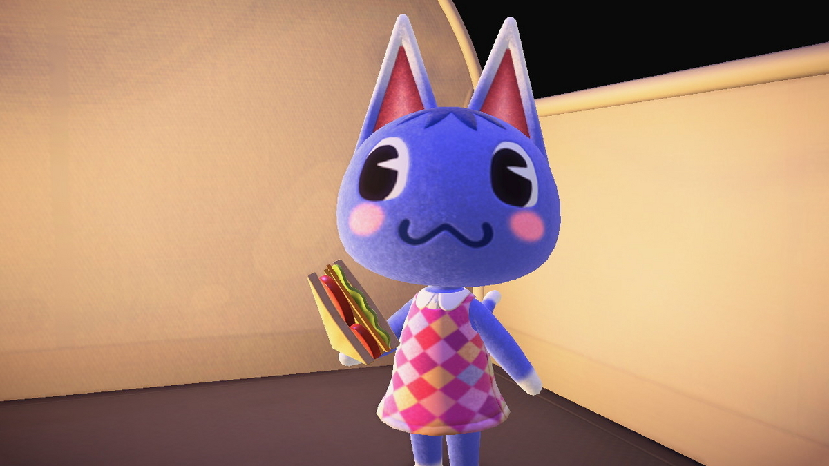 ニンテンドースイッチ あつまれどうぶつの森 キャンプ場 57回目の画像