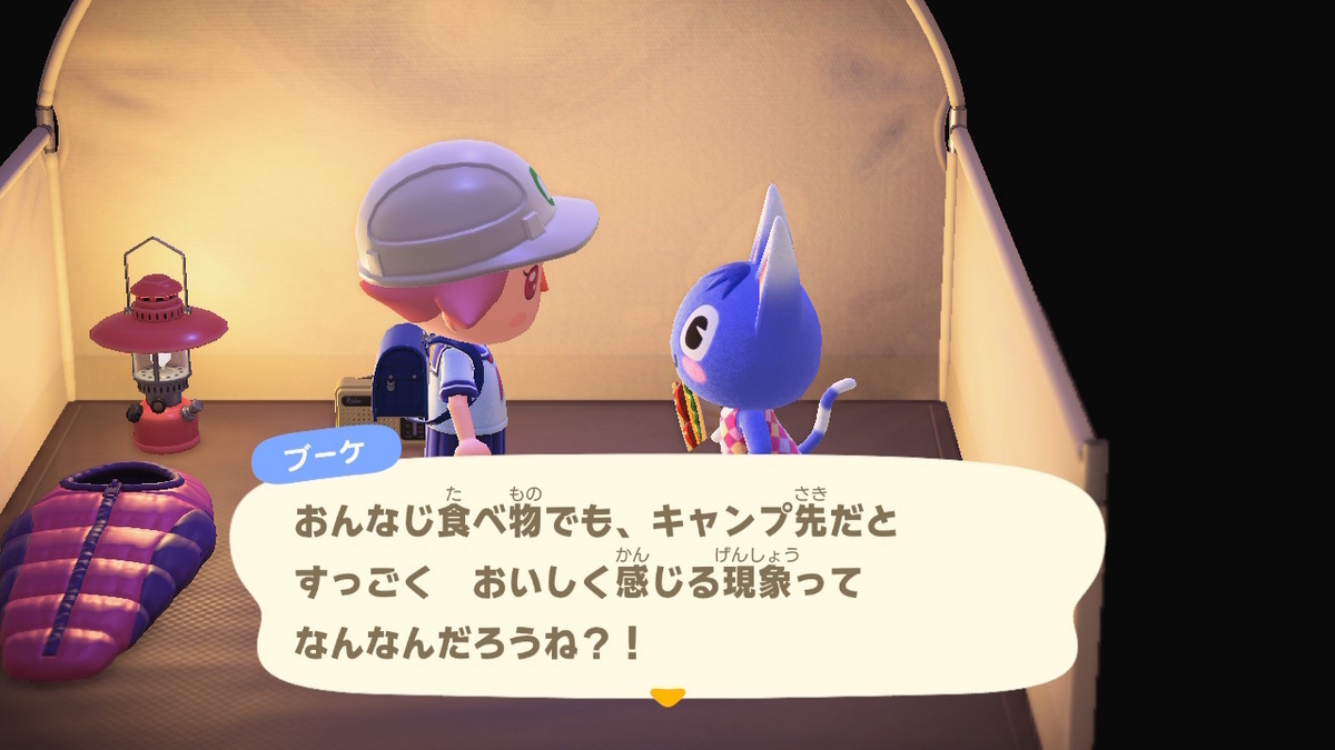 ニンテンドースイッチ あつまれどうぶつの森 キャンプ場 57回目の画像