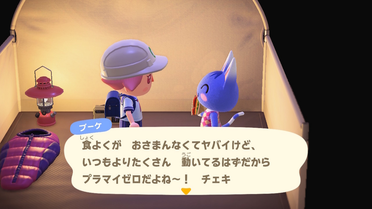 ニンテンドースイッチ あつまれどうぶつの森 キャンプ場 57回目の画像