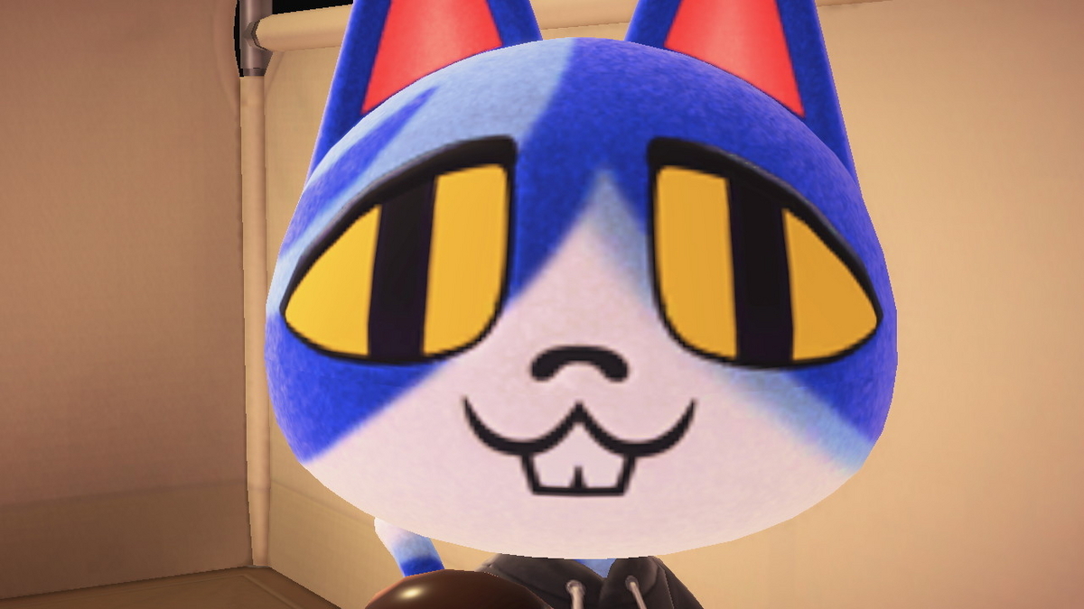 ニンテンドースイッチ あつまれどうぶつの森 キャンプ場 58回目の画像