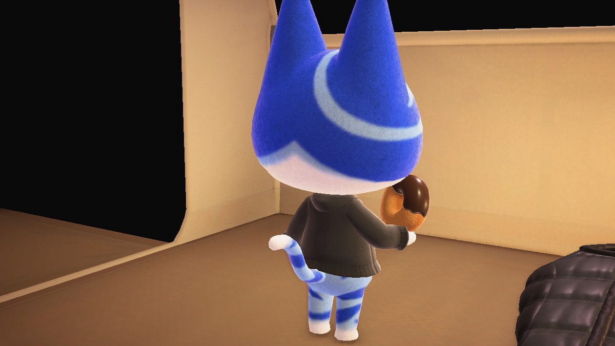 ニンテンドースイッチ あつまれどうぶつの森 キャンプ場 58回目の画像