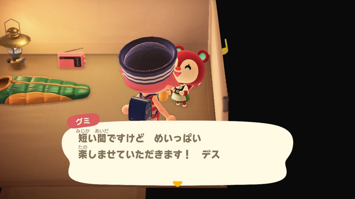 ニンテンドースイッチ あつまれどうぶつの森 キャンプ場 59回目の画像