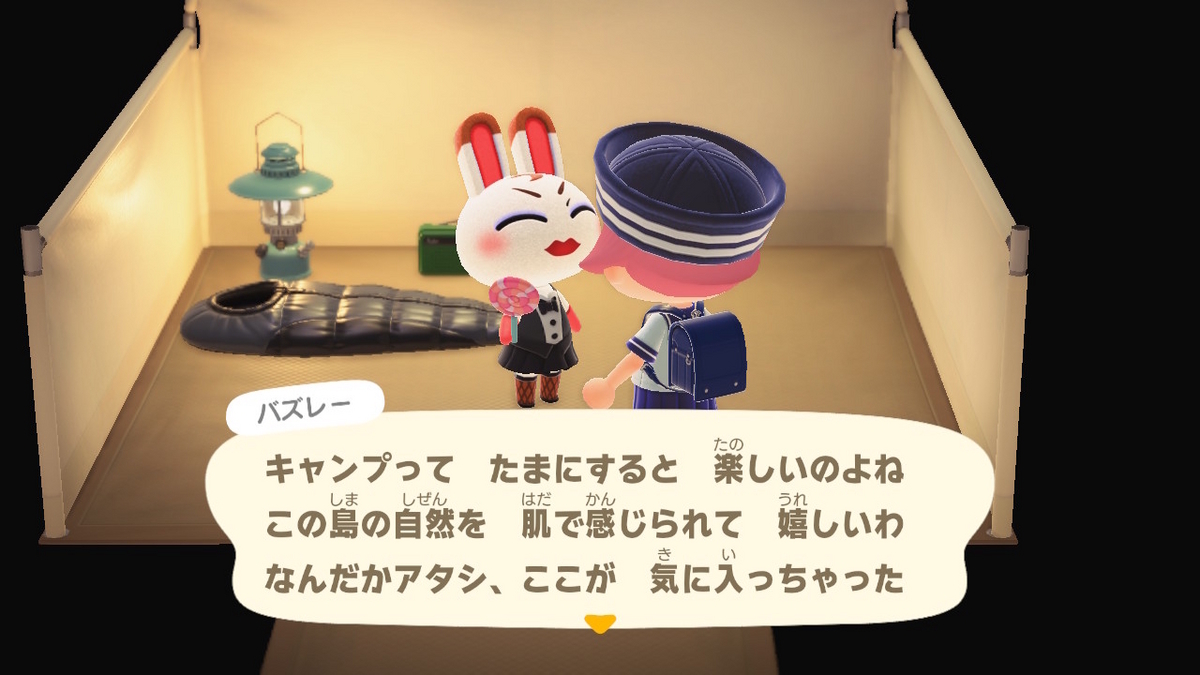 ニンテンドースイッチ あつまれどうぶつの森 キャンプ場 60回目の画像