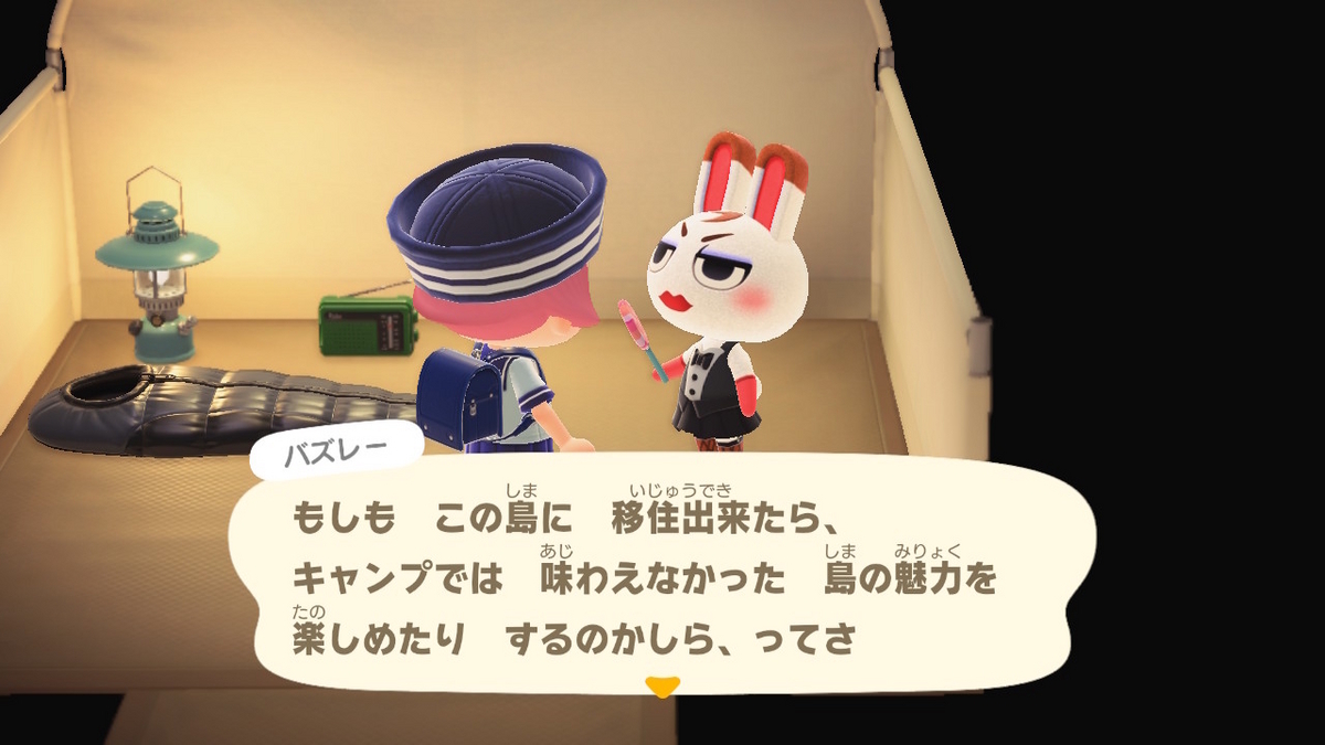 ニンテンドースイッチ あつまれどうぶつの森 キャンプ場 60回目の画像