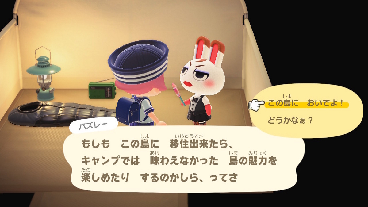 ニンテンドースイッチ あつまれどうぶつの森 キャンプ場 60回目の画像