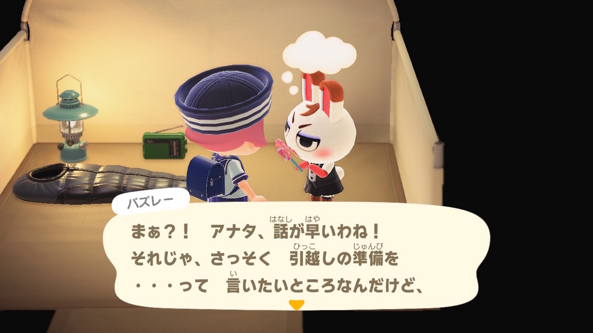 ニンテンドースイッチ あつまれどうぶつの森 キャンプ場 60回目の画像