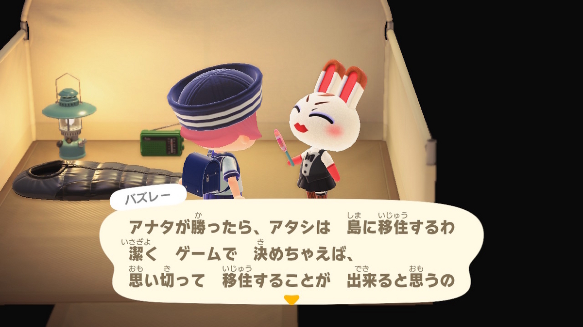 ニンテンドースイッチ あつまれどうぶつの森 キャンプ場 60回目の画像