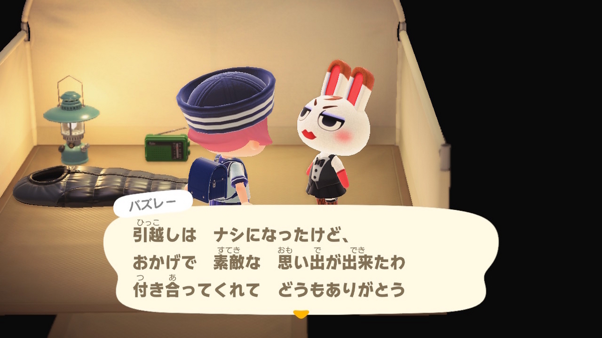 ニンテンドースイッチ あつまれどうぶつの森 キャンプ場 60回目の画像