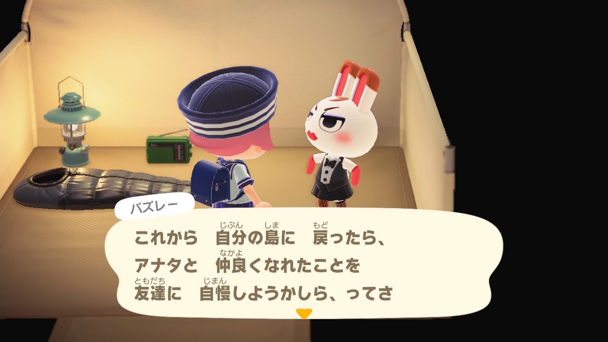 ニンテンドースイッチ あつまれどうぶつの森 キャンプ場 60回目の画像