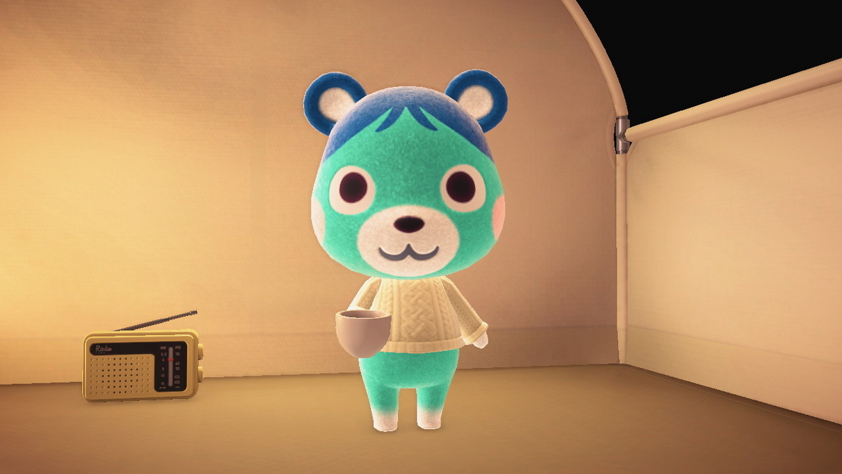 ニンテンドースイッチ あつまれどうぶつの森 キャンプ場 63回目の画像