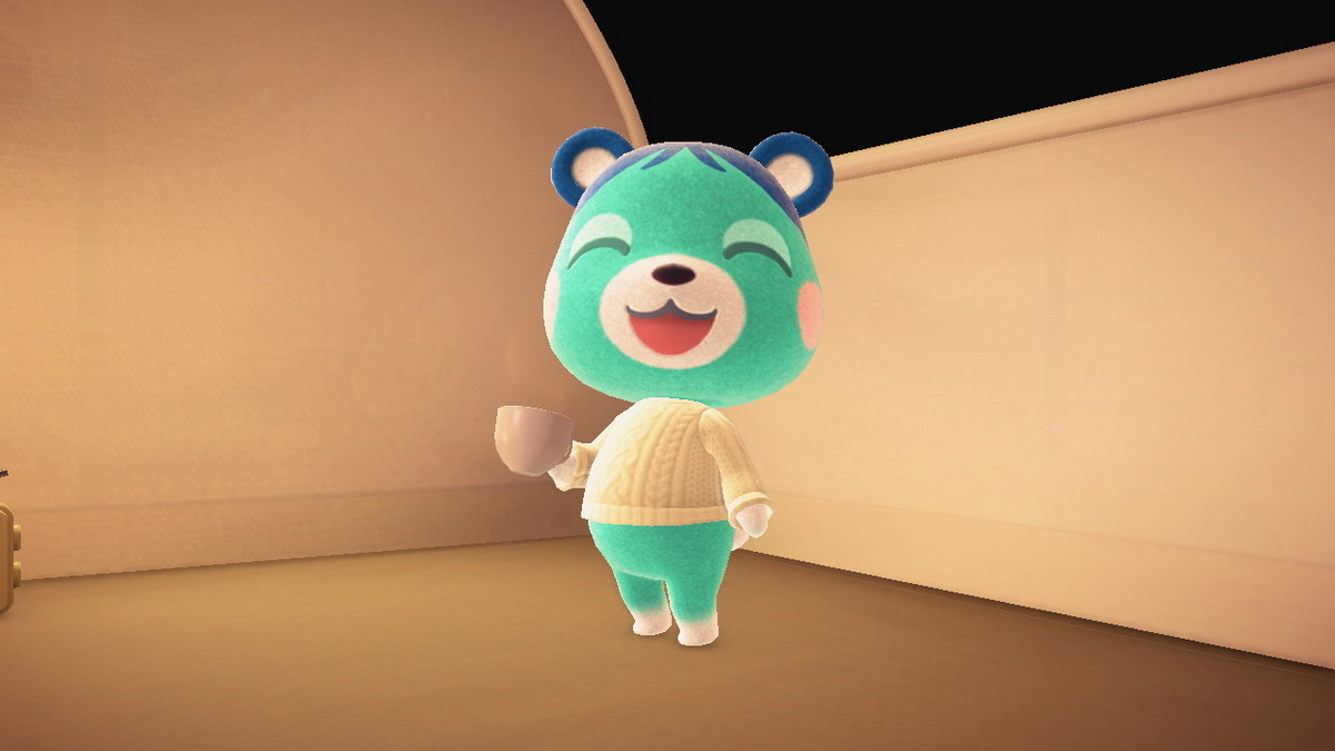 ニンテンドースイッチ あつまれどうぶつの森 キャンプ場 63回目の画像