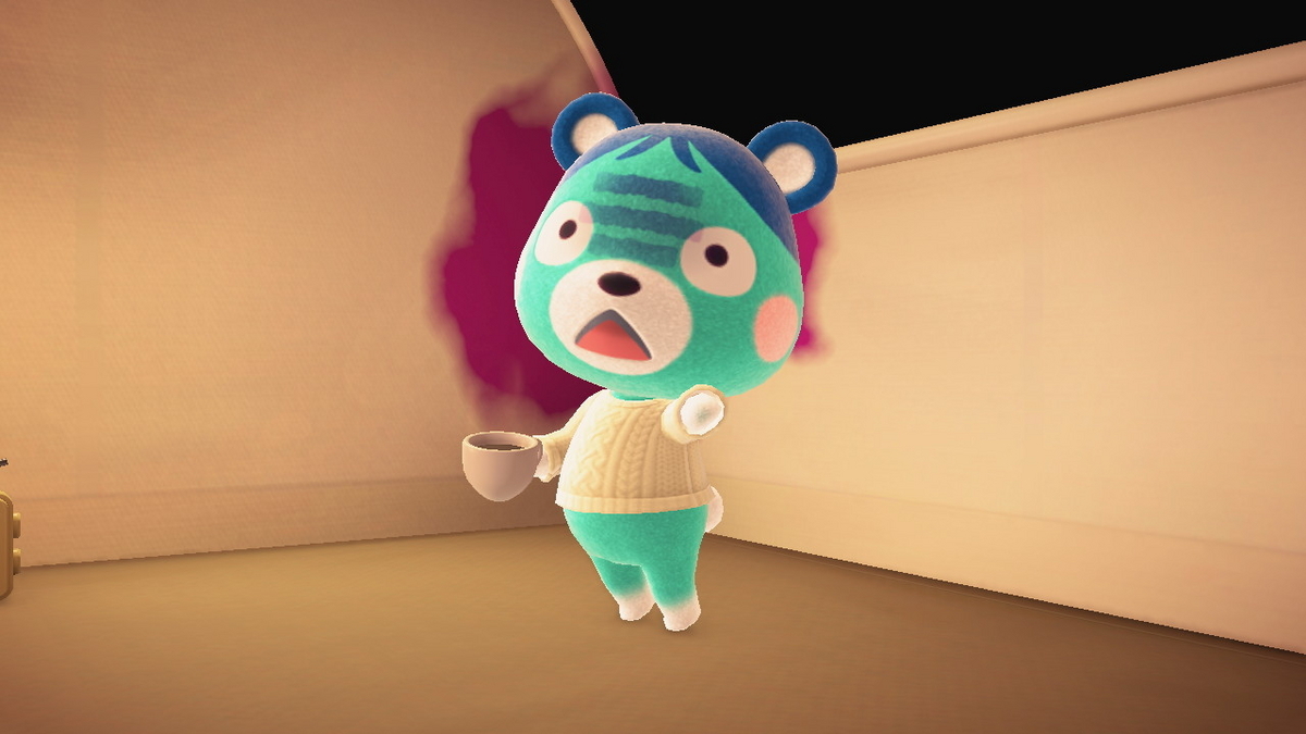 ニンテンドースイッチ あつまれどうぶつの森 キャンプ場 63回目の画像