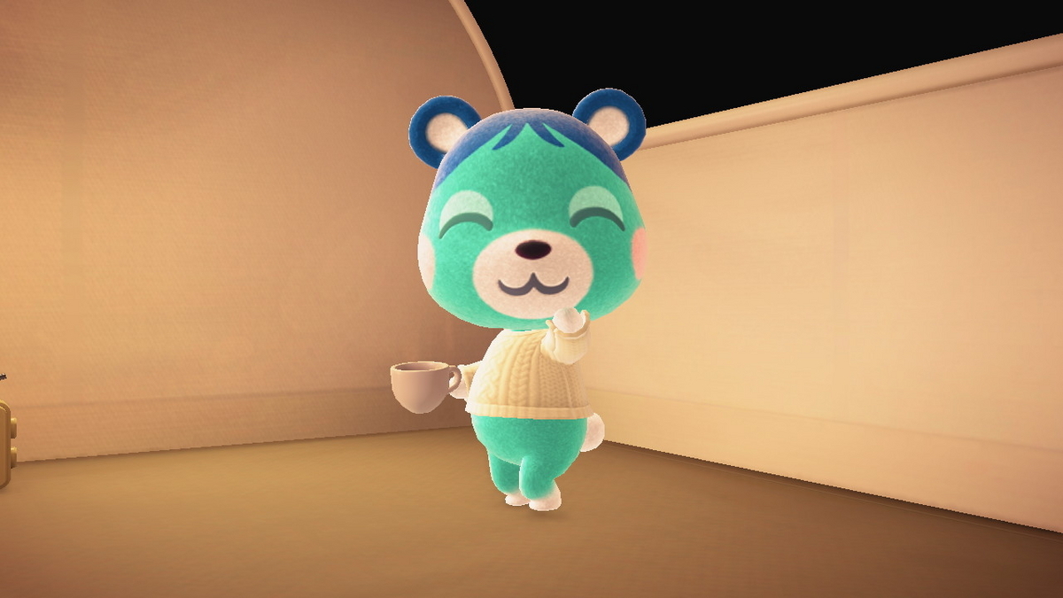 ニンテンドースイッチ あつまれどうぶつの森 キャンプ場 63回目の画像