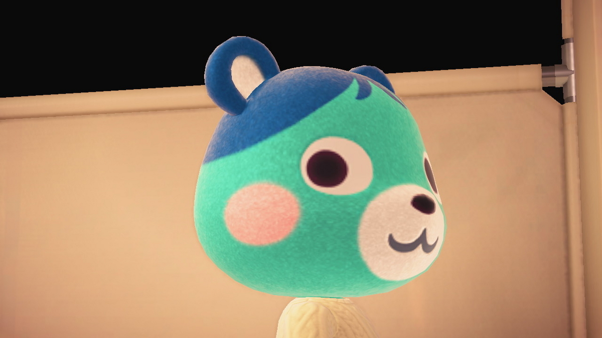ニンテンドースイッチ あつまれどうぶつの森 キャンプ場 63回目の画像