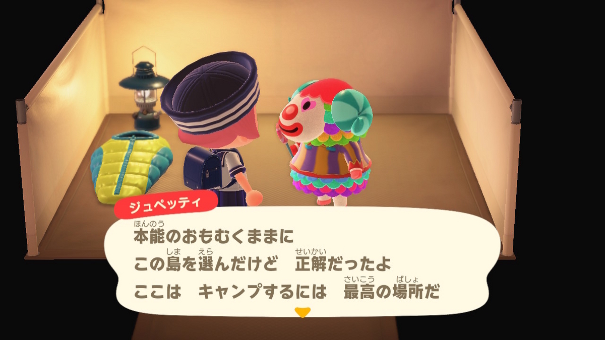 ニンテンドースイッチ あつまれどうぶつの森 キャンプ場 65回目の画像