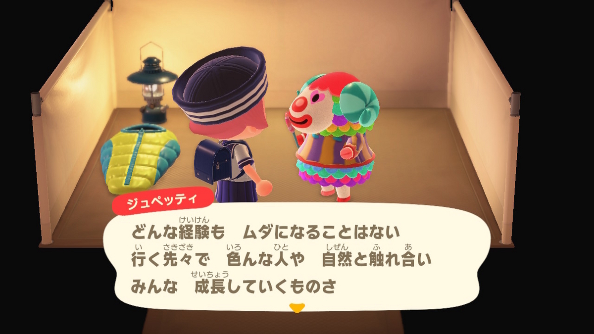 ニンテンドースイッチ あつまれどうぶつの森 キャンプ場 65回目の画像