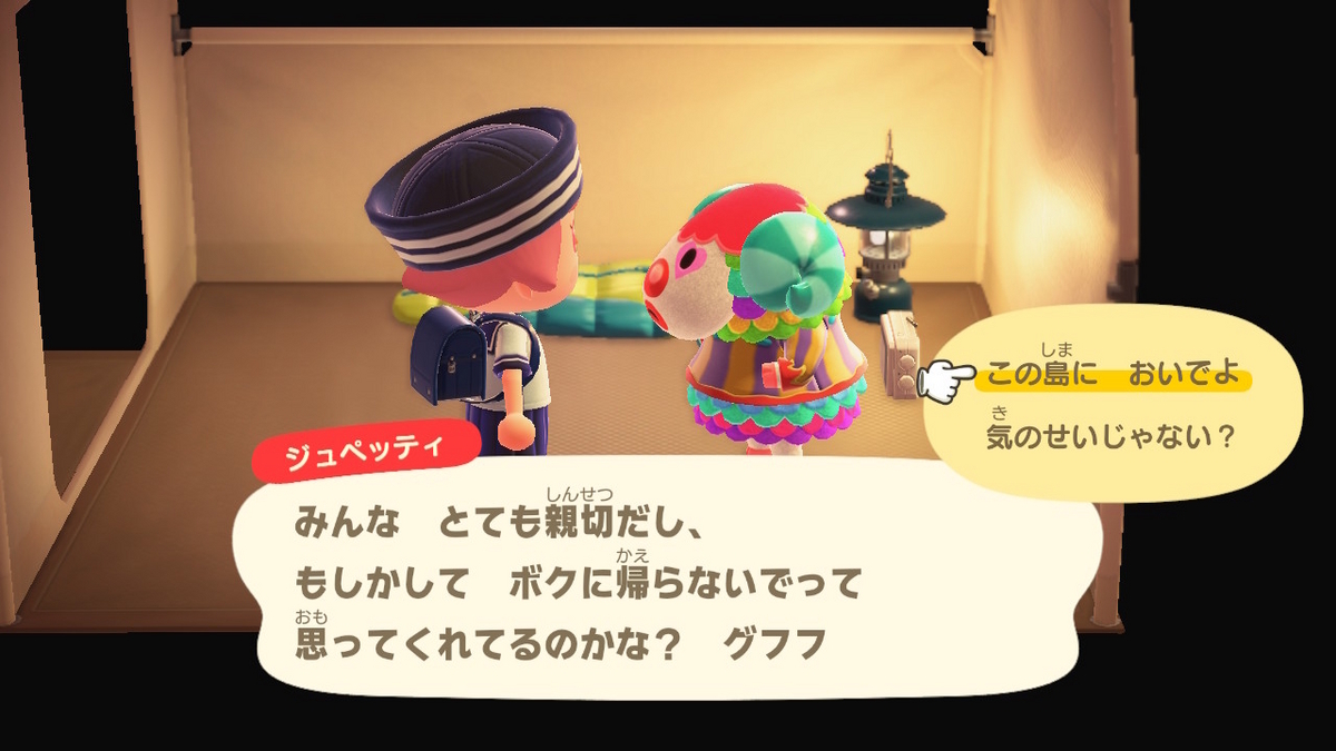 ニンテンドースイッチ あつまれどうぶつの森 キャンプ場 65回目の画像