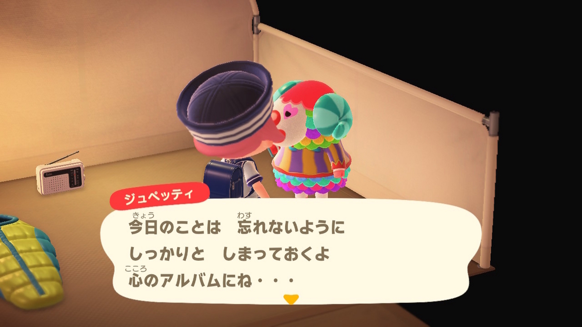ニンテンドースイッチ あつまれどうぶつの森 キャンプ場 65回目の画像
