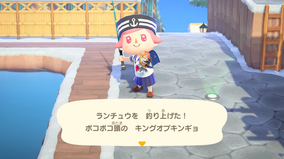 あつまれ どうぶつの森　ランチュウを釣り上げました！！の画像
