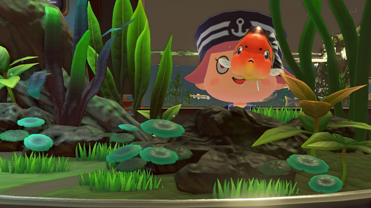 あつまれ どうぶつの森　ランチュウを釣り上げました！！の画像