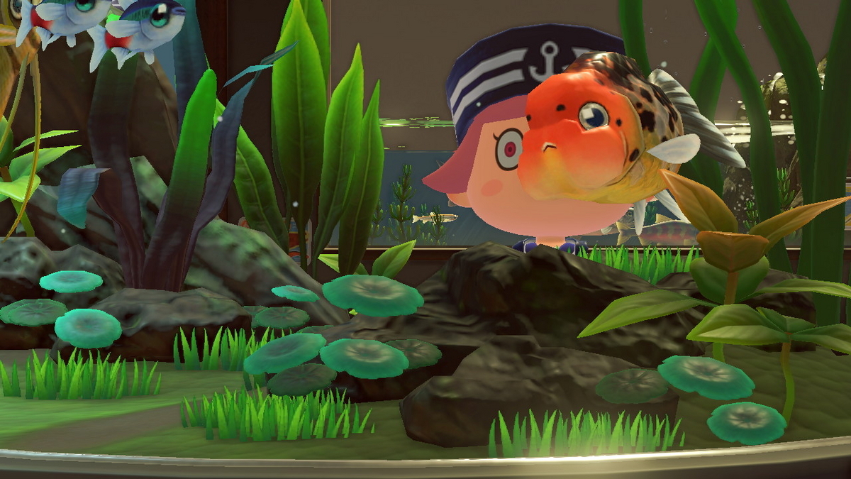 あつまれ どうぶつの森　ランチュウを釣り上げました！！の画像