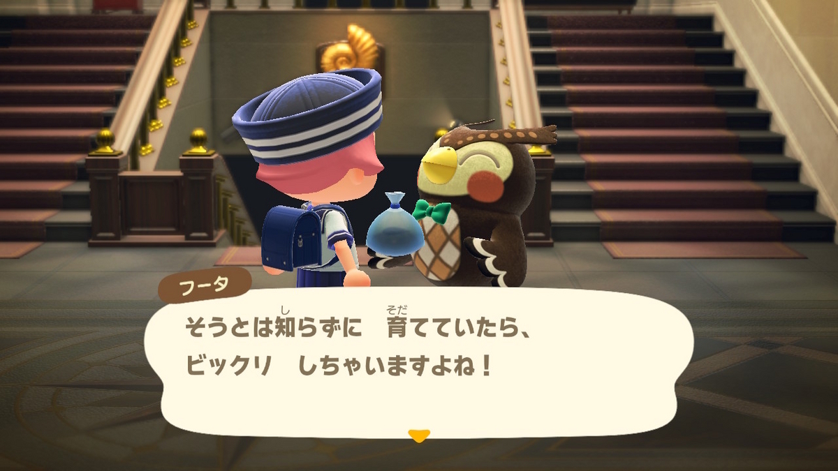 あつまれ どうぶつの森　目元パッチリなデメキンを釣り上げました！！の画像