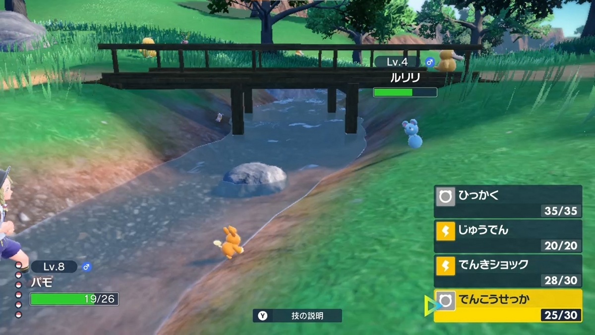 ポケモンsv 初期の頃にあった表示数オーバーで画面がめちゃくちゃになる‥の画像