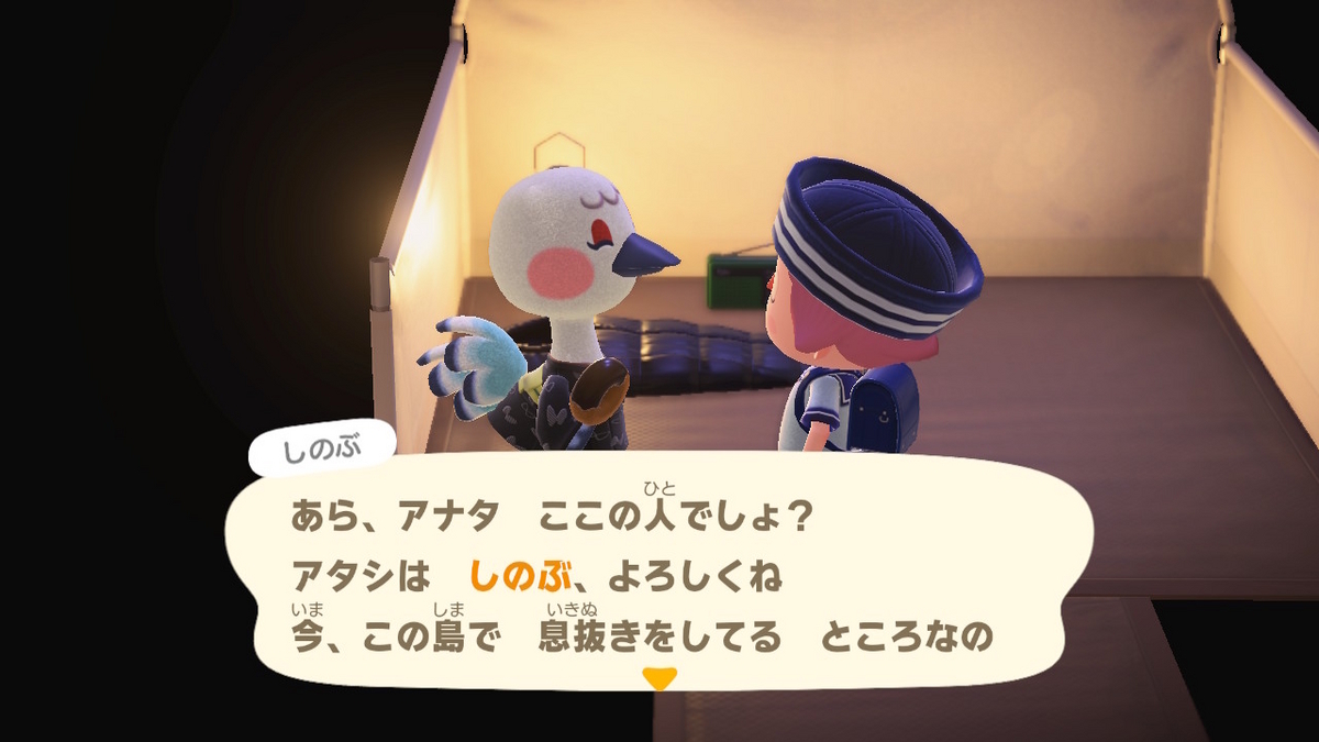 ニンテンドースイッチ あつまれどうぶつの森 キャンプ場 67回目の画像